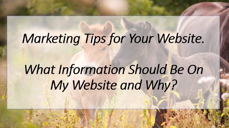 What key information should be on every website?