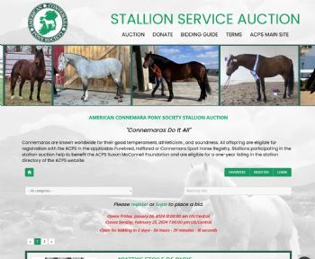 American Connemara Pony Society Stallion Auction