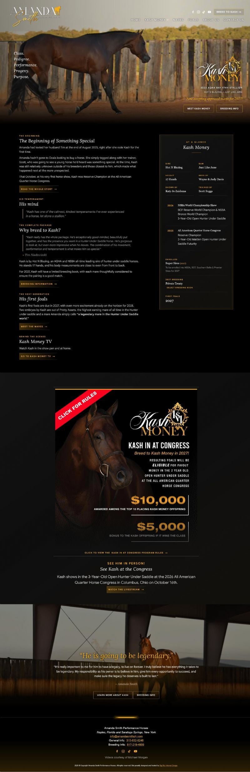 Amanda Smith Performance Horses - Home of Kash Money website built by Aggieland Website Design