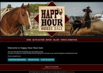 Happy Hour Horse Sale