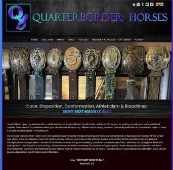 Quarterborder Horses