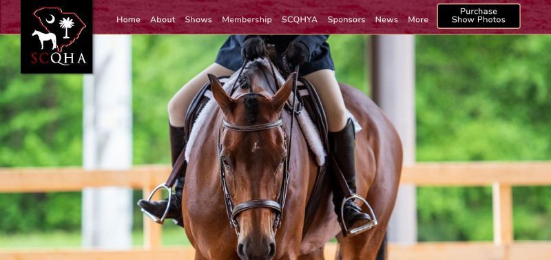 South Carolina Quarter Horse Association website built by Aggieland Website Design