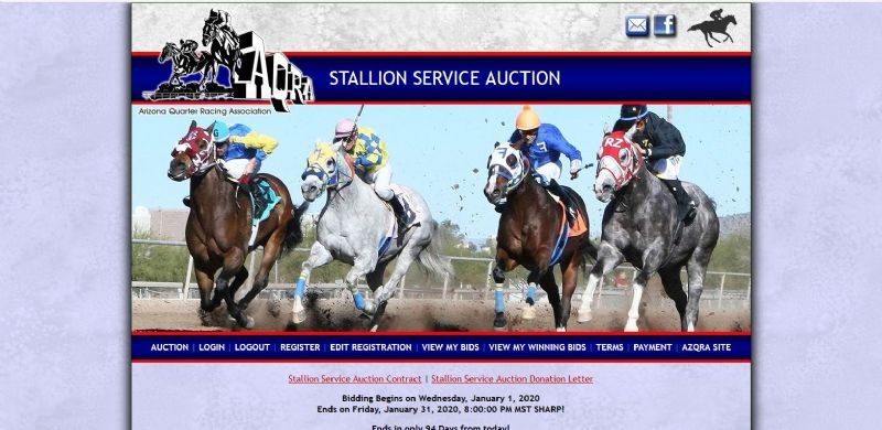 Arizona Quarter Racing Association Stallion Auction website built by Aggieland Website Design