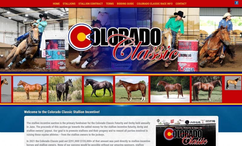 Colorado Classic Stallion Auction