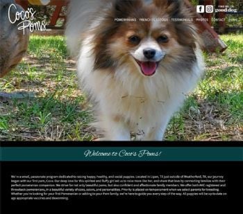 Coco's Poms