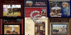 Cathy C., Corporate Cowgirls website built by Aggieland Website Design