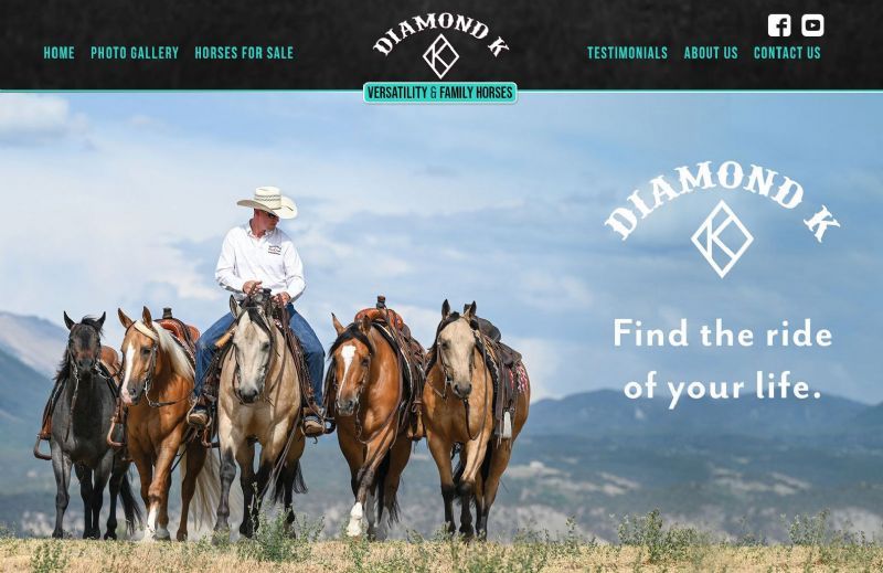 Diamond K Versatility & Family Horses