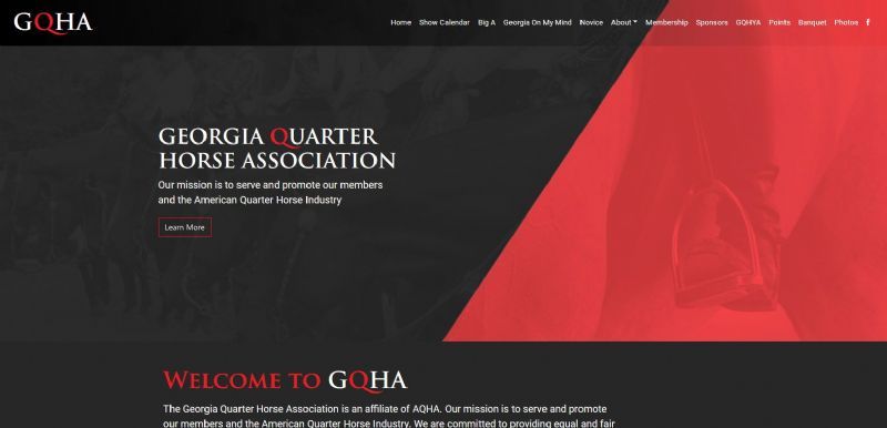 Georgia Quarter Horse Association website built by Aggieland Website Design