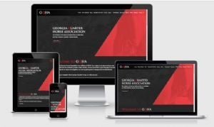 Lisa Lee, Georgia Quarter Horse Association website built by Aggieland Website Design