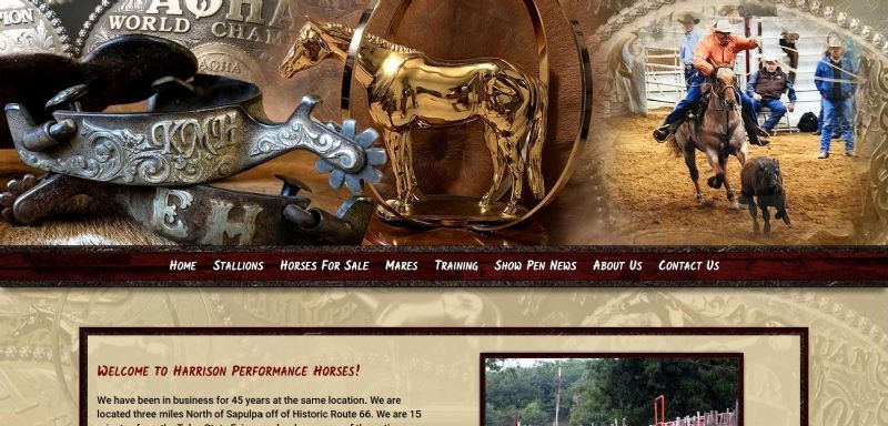 Harrison Performance Horses website built by Aggieland Website Design