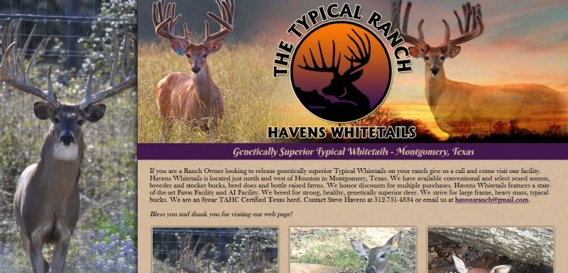 Havens Whitetails