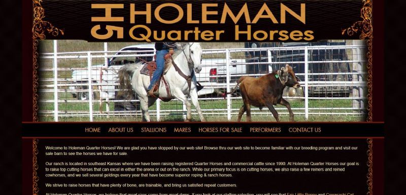 Holeman Quarter Horses website built by Aggieland Website Design