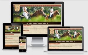 Renina P., Medicine Bag Project website built by Aggieland Website Design
