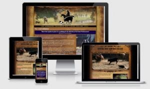 Merle N., Rodear America & Cyrstal Rose Cow Dog College website built by Aggieland Website Design