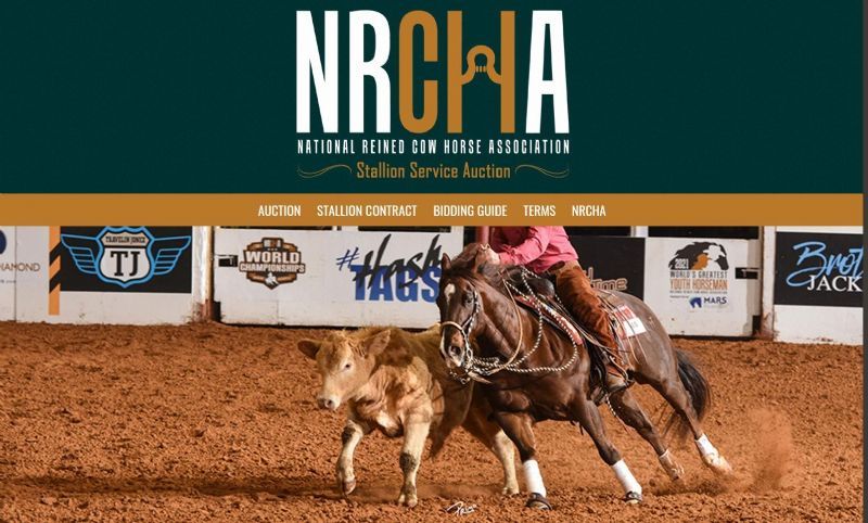 National Reined Cow Horse Association Stallion Service Online Auction