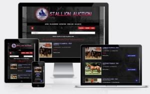 Denise G., National Stock Horse Association website built by Aggieland Website Design