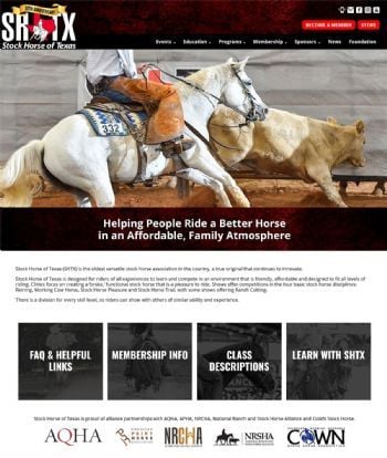 Stock Horse of Texas