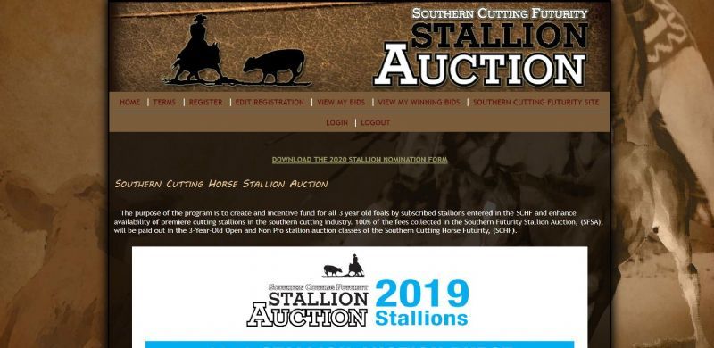 Southern Cutting Horse Stallion Auction website built by Aggieland Website Design