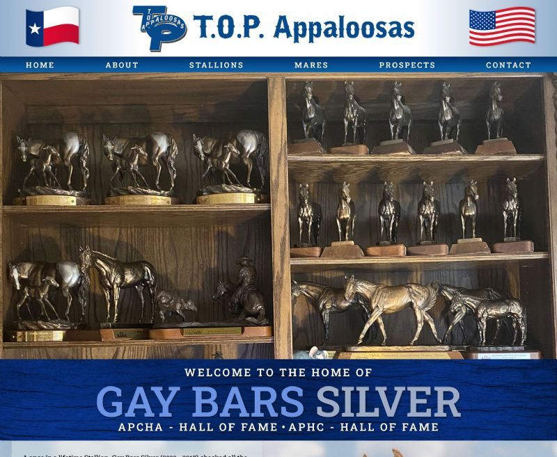 TOP Appaloosas website built by Aggieland Website Design
